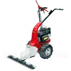 Бензиновая сенокосилка Eurosystems Minieffe 502 RM B&S 625EXi в Севастополе