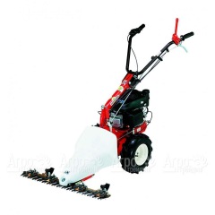 Бензиновая сенокосилка Eurosystems P55 Honda в Севастополе