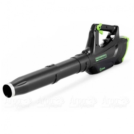 Воздуходувка аккумуляторная GreenWorks GC82BLK5  в Севастополе