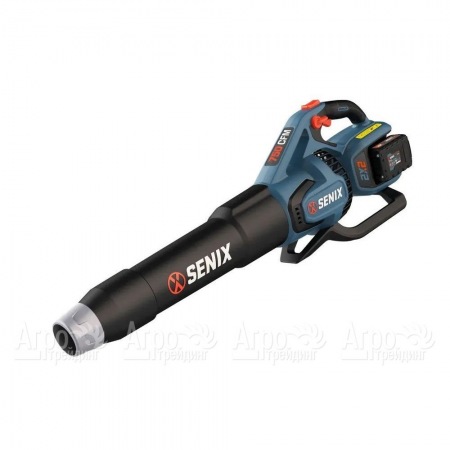 Воздуходувка аккумуляторная Senix BLAX2-M2-EU в Севастополе