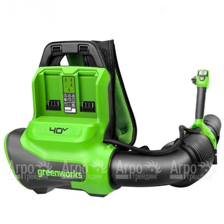 Воздуходувка аккумуляторная GreenWorks GD40BPG2  в Севастополе