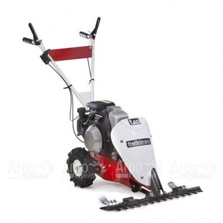 Бензиновая сенокосилка Tielburger T40 с двигателем Briggs&#38;Stratton в Севастополе