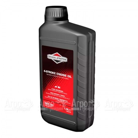 Масло Briggs&#38;Stratton SAE-30 1 л для 4-х тактных двигателей в Севастополе