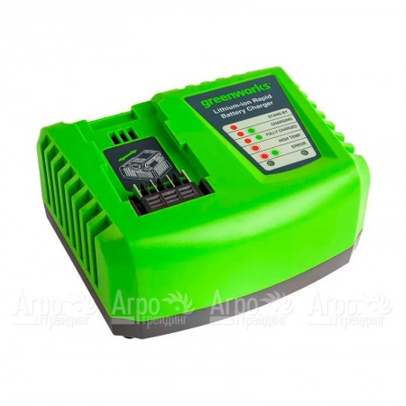 Быстрое зарядное устройство Greenworks G40UC4  в Севастополе