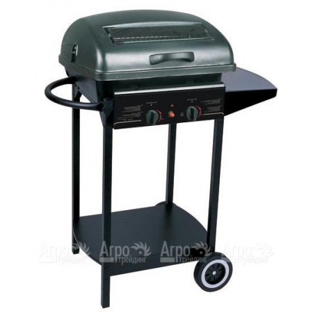 Гриль-барбекю газовый Green Glade RH-2210A в Севастополе