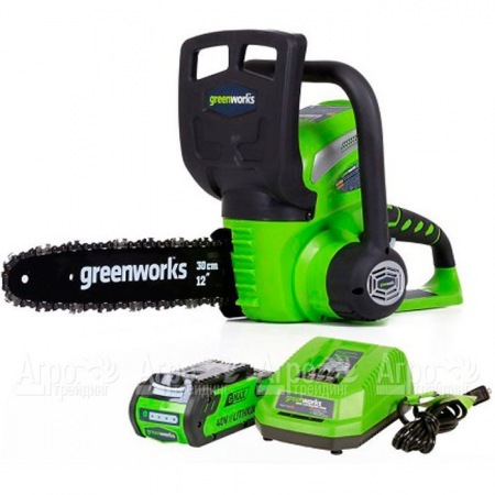Аккумуляторная пила GreenWorks G40CS30II-12" 2 Ач в Севастополе