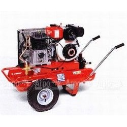 Компрессор дизельный Agri 55 Diesel в Севастополе