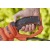 Электрический кусторез (электрокусторез) Black+Decker BEHTS551 в Севастополе