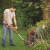 Аккумуляторный триммер Black+Decker ST1823 в Севастополе