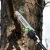 Высоторез аккумуляторный GreenWorks PS102T (без аккумулятора и зарядного устройства) в Севастополе