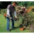 Бензокоса (бензиновый триммер) Stihl FS 38 с дополнительной шпулей в Севастополе
