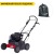 Скарификатор Eurosystems SC42B c двигателем Briggs&Stratton 450 series в Севастополе