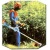 Бензокоса (бензиновый триммер) Stihl FS 55 Autocut в Севастополе
