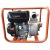 Бензиновая мотопомпа EVOline WG 20 в Севастополе