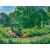 Садовый райдер Husqvarna P525DX с кабиной в Севастополе