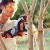 Аккумуляторная пила Stihl MSA 120 C-BQ-12 в Севастополе