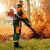 Воздуходувка бензиновая Stihl BR 700 в Севастополе
