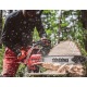 Бензопила Shindaiwa 501SX в Севастополе
