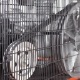 Компрессор поршневой Patriot Remeza СБ 4/С-100 LB 75 в Севастополе