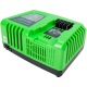 Быстрое зарядное устройство Greenworks G40UC5 в Севастополе