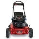 Газонокосилка бензиновая Toro 20092C в Севастополе