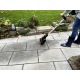 Щетка для чистки дорожек Worx WG441E в Севастополе