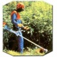 Бензокоса (бензиновый триммер) Stihl FS 55 Autocut в Севастополе