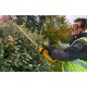 Аккумуляторный кусторез Dewalt DCM563P1 в Севастополе