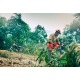 Бензопила Husqvarna 455e Rancher-20X&quot; в Севастополе