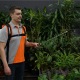 Аккумуляторный опрыскиватель Daewoo DSA 12Li SET в Севастополе